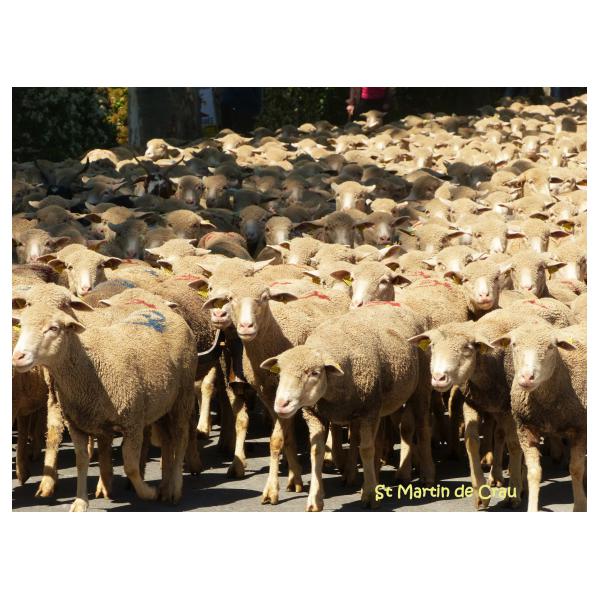 PHOTO84, CLUB, 84 , LUBERON